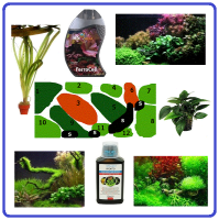 planten, schema,s en voeding